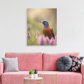 Bird Art Foto Leinwanddruck (Insitu (Wohnzimmer))