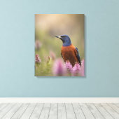 Bird Art Foto Leinwanddruck (Insitu (Holzboden))