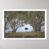 Bird at the Refuge Poster (Vorne)