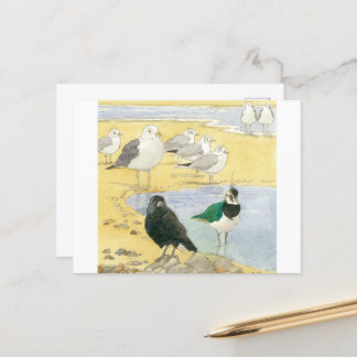 Bird Beach Wildlife Jackdaw Gull Sea Postcard Postkarte
