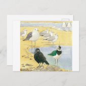 Bird Beach Wildlife Jackdaw Gull Sea Postcard Postkarte (Vorne/Hinten)