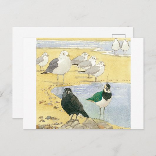 Bird Beach Wildlife Jackdaw Gull Sea Postcard Postkarte (Vorne/Hinten)