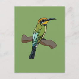 Bird Bee-Eater Bird Postkarte