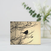 "Bird Black" JTG Art Postkarte (Stehend Vorderseite)