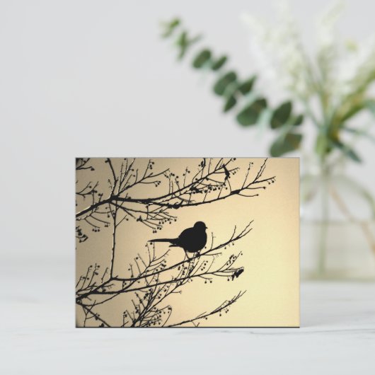 "Bird Black" JTG Art Postkarte (Stehend Vorderseite)