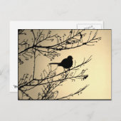 "Bird Black" JTG Art Postkarte (Vorne/Hinten)