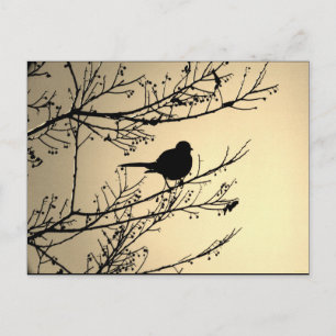 "Bird Black" JTG Art Postkarte