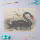 Bird Black Swan Ephemera Decoupage Seidenpapier (Basteln)
