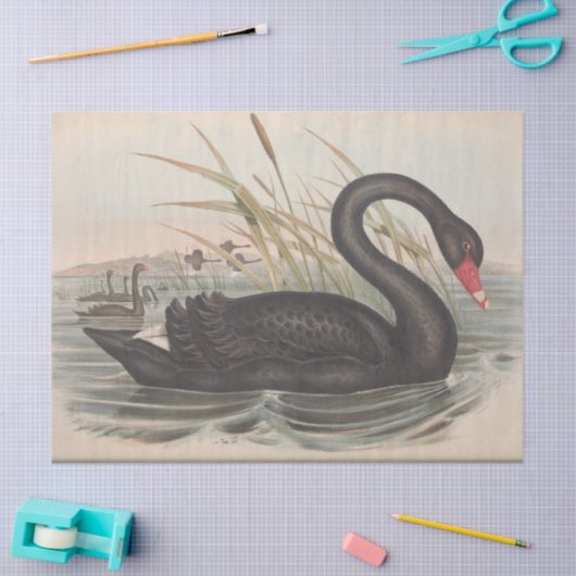 Bird Black Swan Ephemera Decoupage Seidenpapier (Basteln)