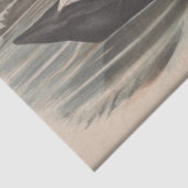 Bird Black Swan Ephemera Decoupage Seidenpapier (Detail)