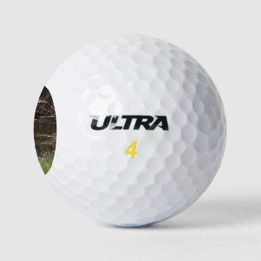 Bird Blue Heron Foto Golfball (Logo)