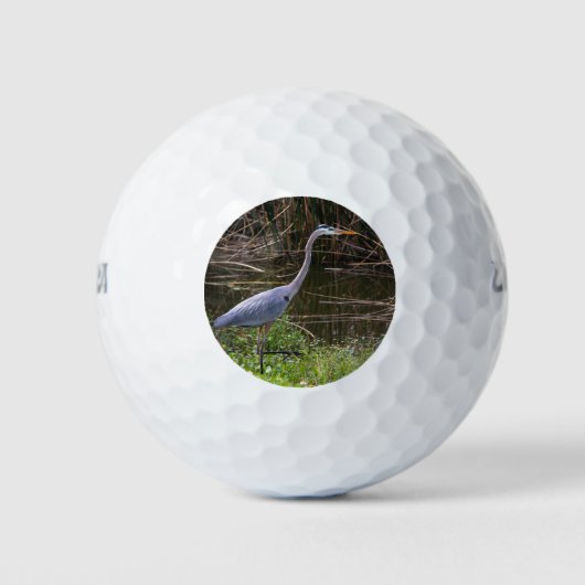 Bird Blue Heron Foto Golfball (Vorderseite)