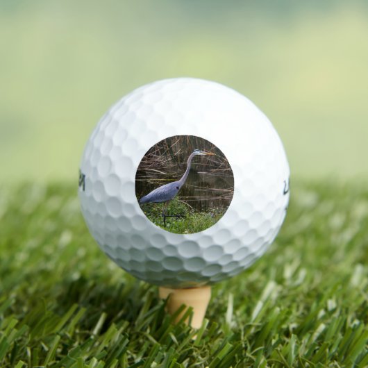 Bird Blue Heron Foto Golfball (Insitu T-Shirt)
