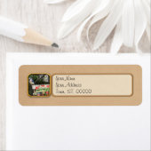 Bird - Blue Jay - für die E-Mail Gewartet (Insitu)