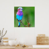 Bird Blue Poster (Küche)