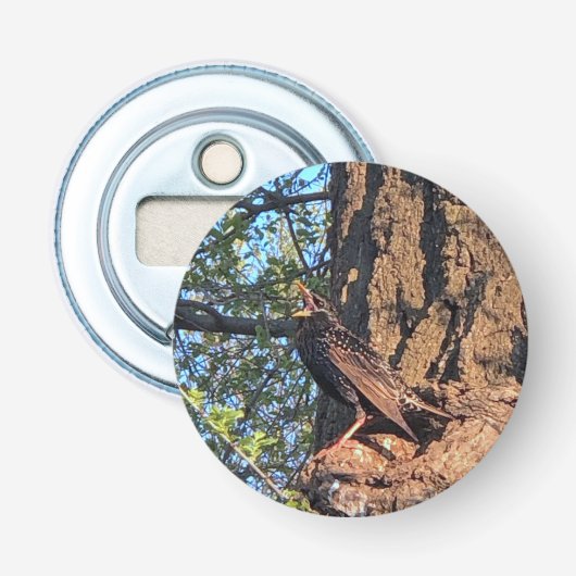 Bird Bottle Opener Flaschenöffner (Vorderseite)