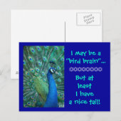 Bird Brain But Nice Tail Postkarte (Vorne/Hinten)