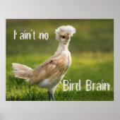 Bird Brain Funny Chicken Poster (Vorne)