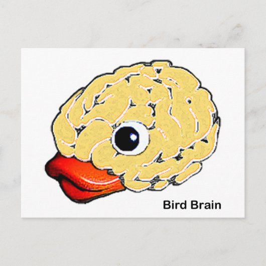 Bird Brain Postkarte (Vorderseite)