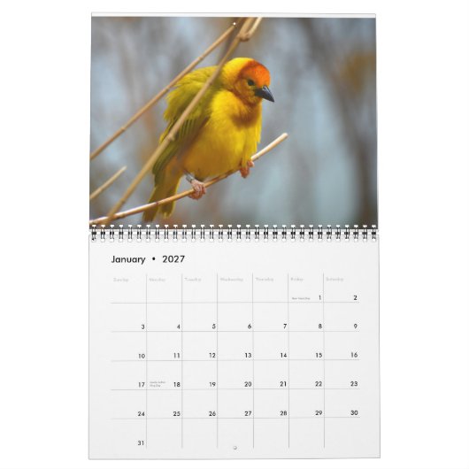 Bird Calendar Kalender (Jan 2027)