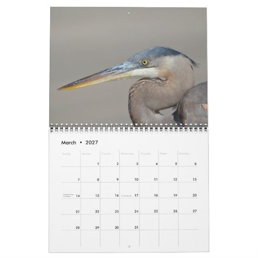 Bird Calendar Kalender (Mär 2027)