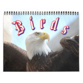 Bird Calendar Kalender (Titelbild)