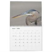 Bird Calendar Kalender (Mär 2026)