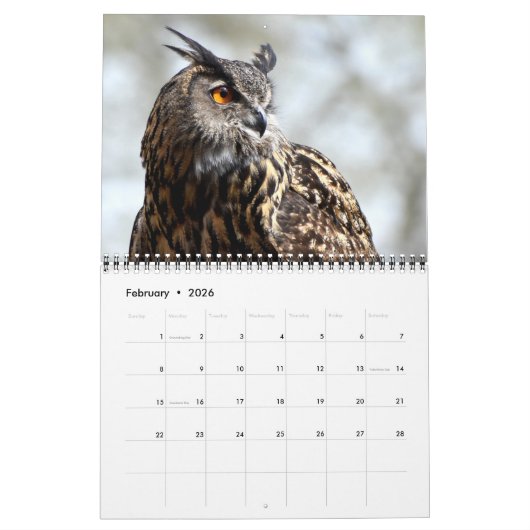 Bird Calendar Kalender (Feb 2026)