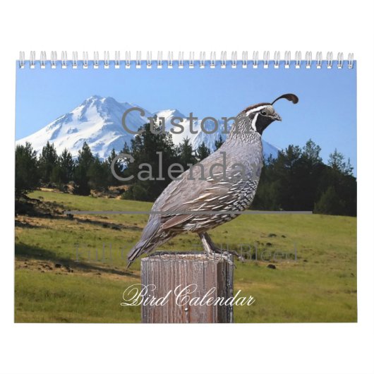 BIRD CALENDAR KALENDER (Titelbild)