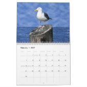 BIRD CALENDAR KALENDER (Feb 2027)