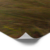 Bird Caught Crab Poster (Ecke)