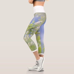 Bird Cherry Tree blüht Blume Sky Capri Leggings