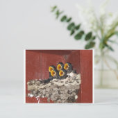 Bird Choir Postkarte (Stehend Vorderseite)