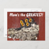 Bird Choir Sings Happy Mother Day to Mama Postkarte (Vorne/Hinten)