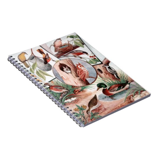 ‚Bird Combo‘ Notizblock (Rechte Seite)