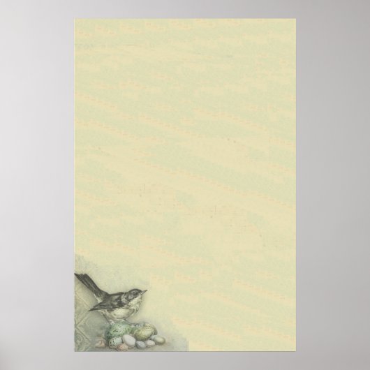 Bird & Eggs Bkgrd Poster (Vorne)