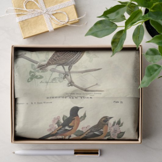 Bird Ephemera Decoupage Floral Blume Seidenpapier (Geschenk)