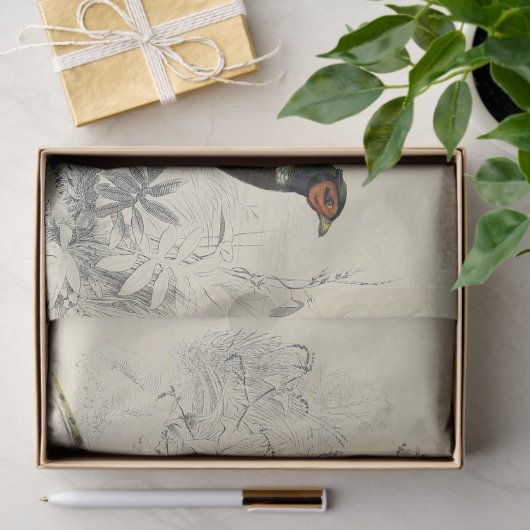 Bird Ephemera Decoupage Französisch Fasan Seidenpapier (Geschenk)