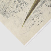 Bird Ephemera Decoupage Französisch Fasan Seidenpapier (Detail)