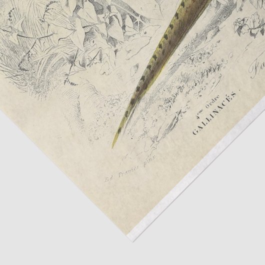 Bird Ephemera Decoupage Französisch Fasan Seidenpapier (Detail)