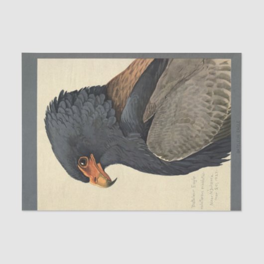 Bird Ephemera Decoupage Gray Eagle Seidenpapier (Vorderseite)
