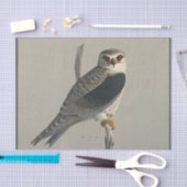Bird Ephemera Decoupage Gray Hawk Seidenpapier (Handwerk)