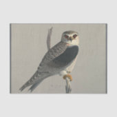 Bird Ephemera Decoupage Gray Hawk Seidenpapier (Vorderseite)