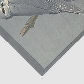 Bird Ephemera Decoupage Gray Hawk Seidenpapier (Ausschnitt)