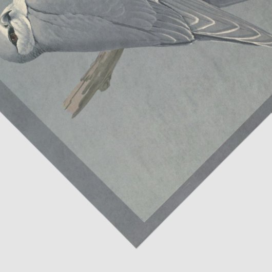 Bird Ephemera Decoupage Gray Hawk Seidenpapier (Ausschnitt)
