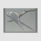 Bird Ephemera Decoupage Gray Hawk Seidenpapier (Vorderseite)