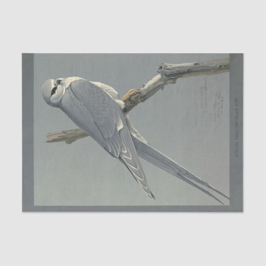 Bird Ephemera Decoupage Gray Hawk Seidenpapier (Vorderseite)