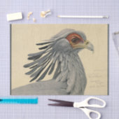 Bird Ephemera Decoupage Gray Seidenpapier (Handwerk)