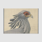 Bird Ephemera Decoupage Gray Seidenpapier (Vorderseite)
