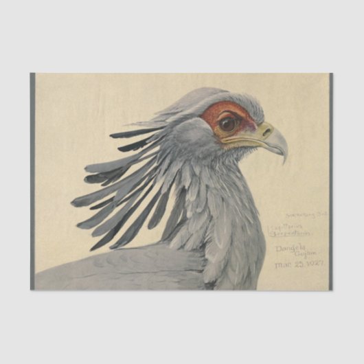 Bird Ephemera Decoupage Gray Seidenpapier (Vorderseite)